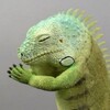 高校受験の日🫡