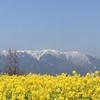 3月　吉野山は綺麗やなあ