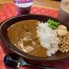 【ひとり飯　備蓄品の100時間かけたスパイシーチキンカレー】