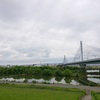 春の城北はギル祭り？(2024年4月)