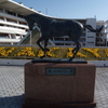 中山競馬場　〜ハイセイコー号像〜　