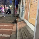 水を掬すれば月手に在り