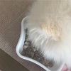 子犬の食事の回数と与え方〜ドライフードはいつから？