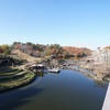 🛎️次女の発表会とみんなで公園🛝