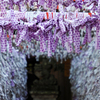 金沢へ⑤　〜石浦神社から広坂を〜