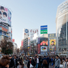 Shibuya Crossing, Tokyo [Shibuya-ku], 2012 (after Thomas Struth?) 