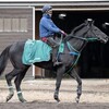 ベルエポック、思いのほか順調です。
