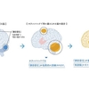 カランメソッドとは？DMEメソッドとの違いや効果・ネイティブキャンプの受け方・最新の研究も紹介