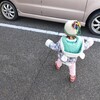 大晦日に買い物