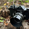 NIKON FとNIKKOR-S AUTO 5cm f2にモノクロフィルムで千葉公園を撮ってきた