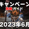 【6月13日(火)17:00開始】キャンペーンガイド
