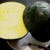 「立秋」・涼風、芋掘り日和。