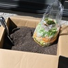 段ボール箱を使った生ゴミの堆肥作り、結果報告。