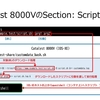 Catalyst 8000V (Public Cloud版)の Section: Scripts によるguestshellでのスクリプト実行