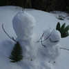 日本海側の雪♪♪　ｂｙるんちゃん