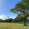 ハワイ旅行記〜3日目〜