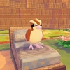 【ぽこポケ プレイ日記29】みんなのベッド