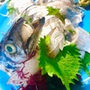 太刀魚のお頭付き刺身がきれい　顔はホラー