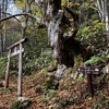 【長野】安曇野から見る北アルプスの秋のうつろい
