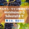 【アルザスワイン街道を行く】MolsheimからSélestatまで