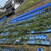 埼玉県羽生市第二養魚場