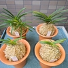 もう中断。