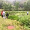 2018年5月13日　里山活動報告