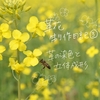 菜の花と革花制作日記③｜革の染色と立体成形で生まれる表情