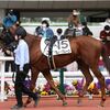 愛馬観戦記　R4-16【スノーグレース　3歳1勝クラス】