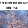 「第49回相模原市民桜まつり」開催中止！(2022/2/16)