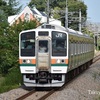 ストレートを狙える！あしかがフラワーパーク駅！