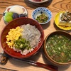 【家庭菜園最後のしし唐　三色丼】