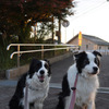 公園の紅葉もやっと！