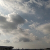 今日はまたバッハ