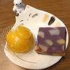 とらやの栗の生菓子で今年の栗は美味しいと実感
