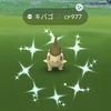 2023年6月10日の色違いポケモン