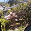 鶴岡市がコロナ禍