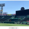 阪神甲子園球場｜2023年9月2日（土）に「グラウンドを満喫！わくわく甲子園ウォーク」が開催されます