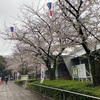 丸木舟ラボ  北区飛鳥山博物館