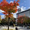 札幌は紅葉が始まっています