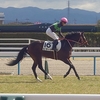【DMMバヌーシー】ビダーヤ レース回顧 - 2024/02/04 京都競馬場5R芝1,600m 3歳新馬
