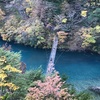 紅葉の寸又峡観光　〜夢の吊り橋〜　大井川鉄道SL