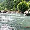 水窪川の友釣り三昧in釣りバカ