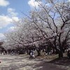 4月1日　新年度スタート