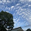 忘れるのでもなく、嫌いになるのでもなく、好きなまま距離を空ける「手放し」という選択。