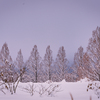 雪の華：常願寺川公園