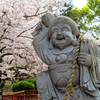 ナゾがナゾを呼ぶ、桜の春のご近所お参り紀行②～海が見えるナゾの神社と、近所の神さまがつながる？！（＠ε＠）の、巻～