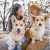 愛犬との家族写真☆ペット写真撮影のススメ！