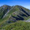 夏の山