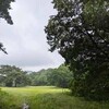 雨の中でも